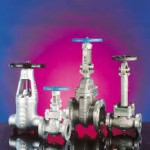 Gate Globe Check Valves